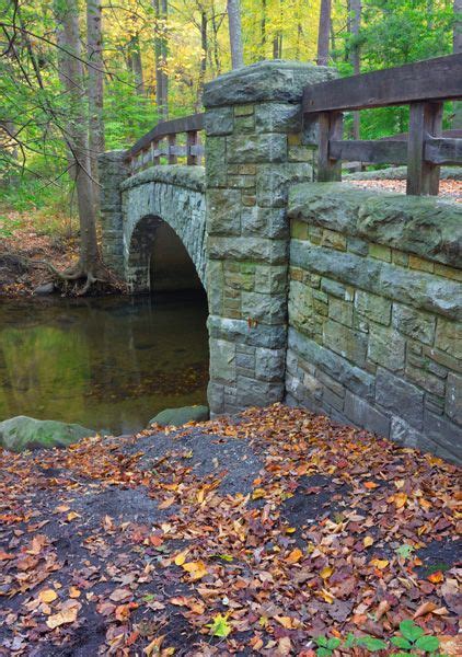 Hollow Bridge: A Hub of Ghostly Activity and Cursed Spirits